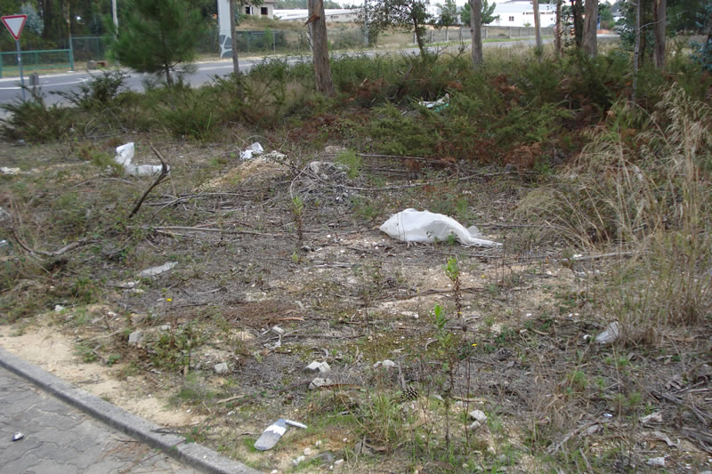 Limpar Portugal9
