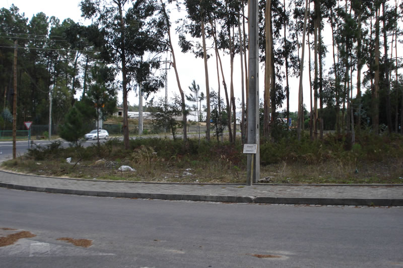 Limpar Portugal12