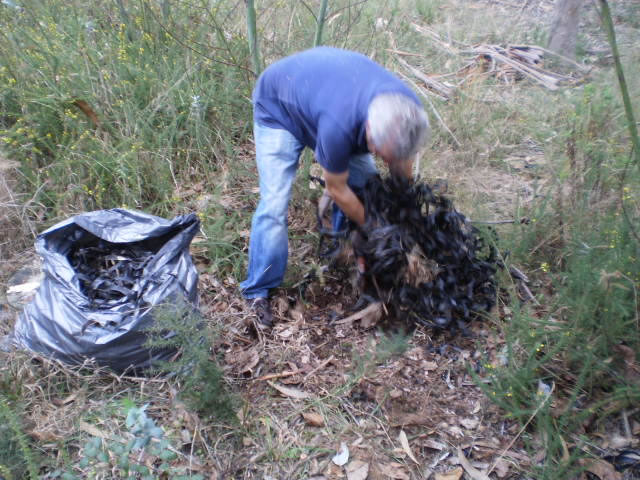 Limpar Portugal17