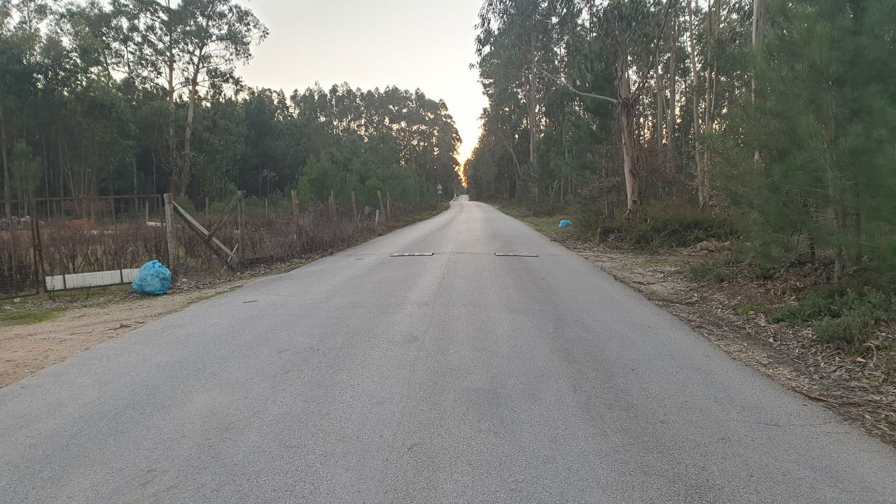 Limpar Portugal - 26 Dezembro 20200