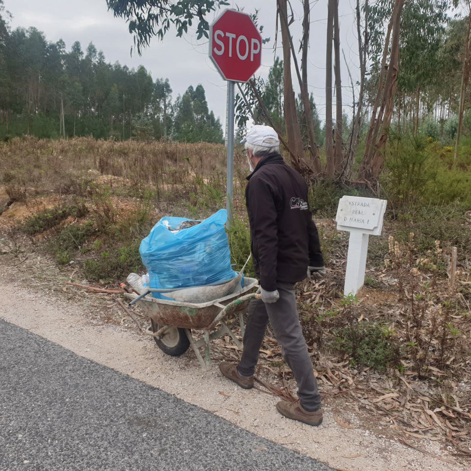 Limpar Portugal - 1 Novembro 20204