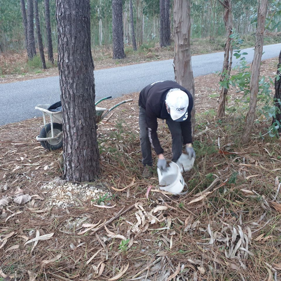 Limpar Portugal - 1 Novembro 202012