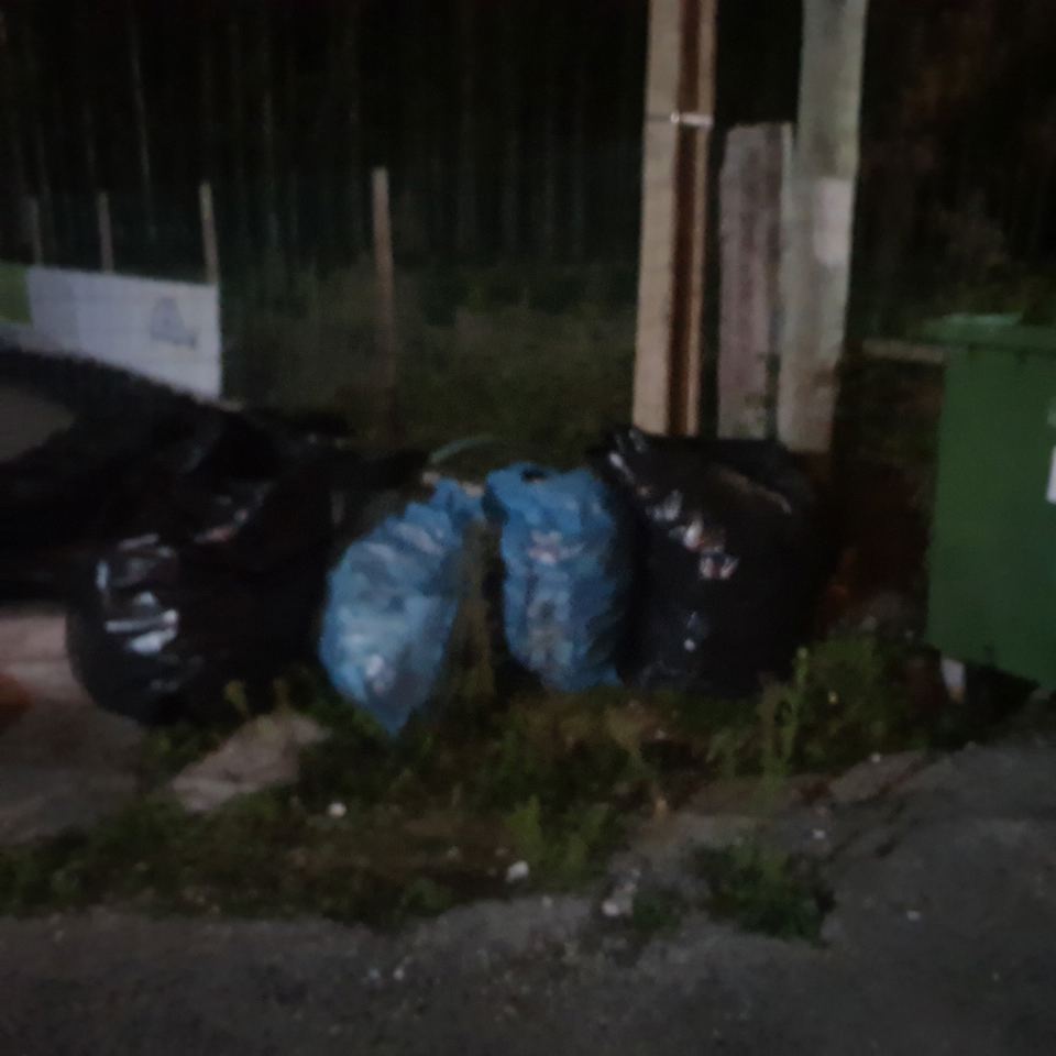 Limpar Portugal - 1 Novembro 202015