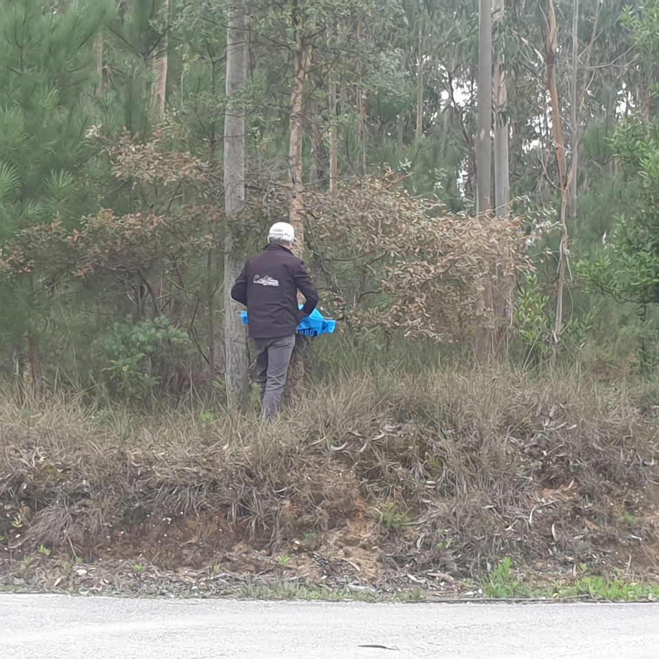 Limpar Portugal - 1 Novembro 202018