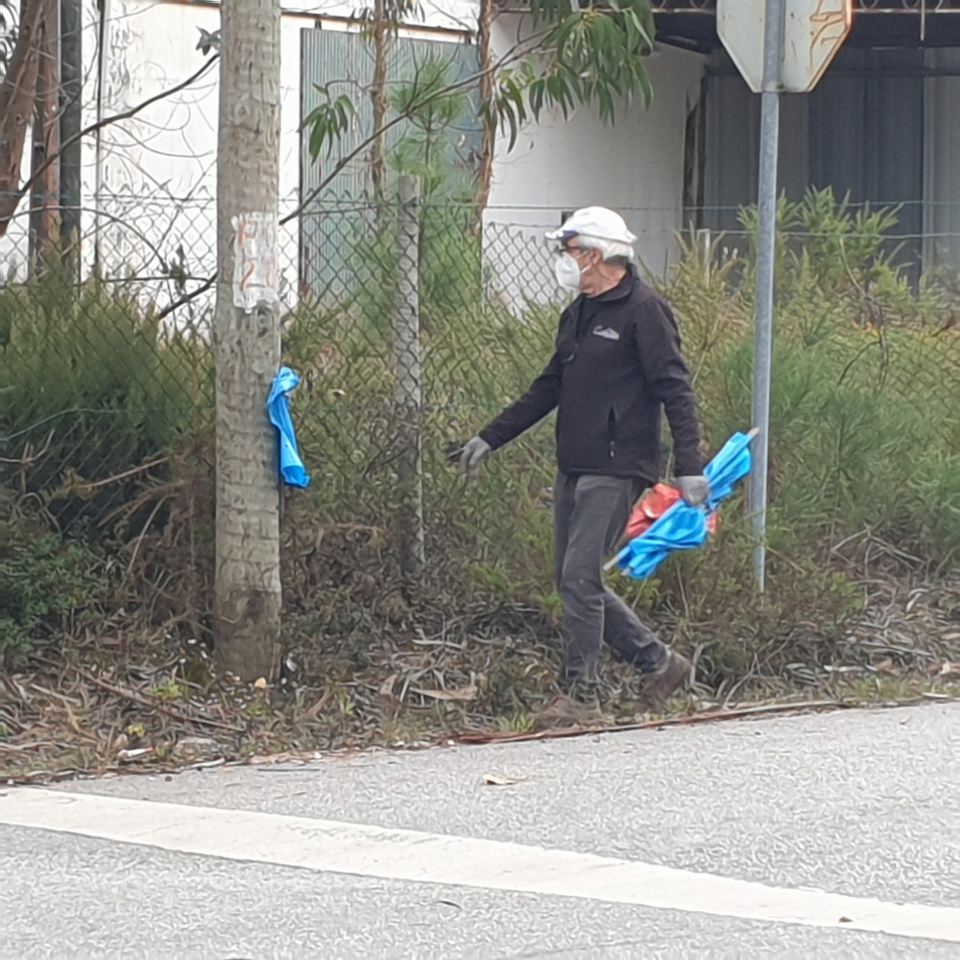 Limpar Portugal - 1 Novembro 202020