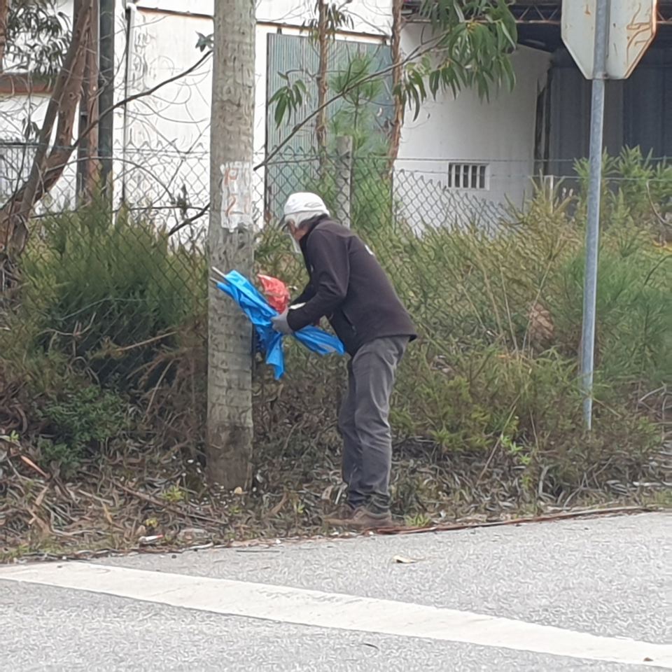 Limpar Portugal - 1 Novembro 202022