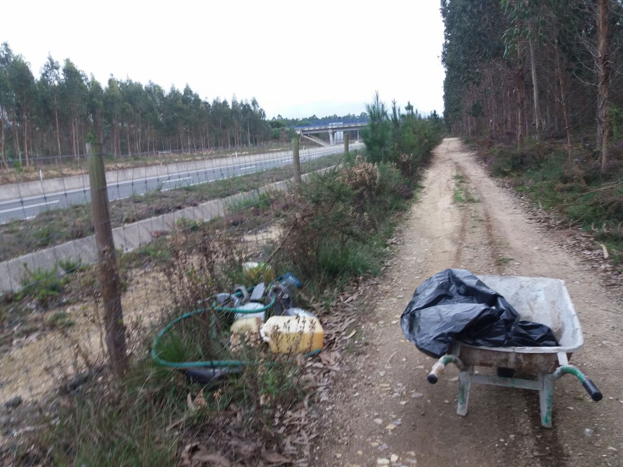 Limpar Portugal - 1 Novembro 202023