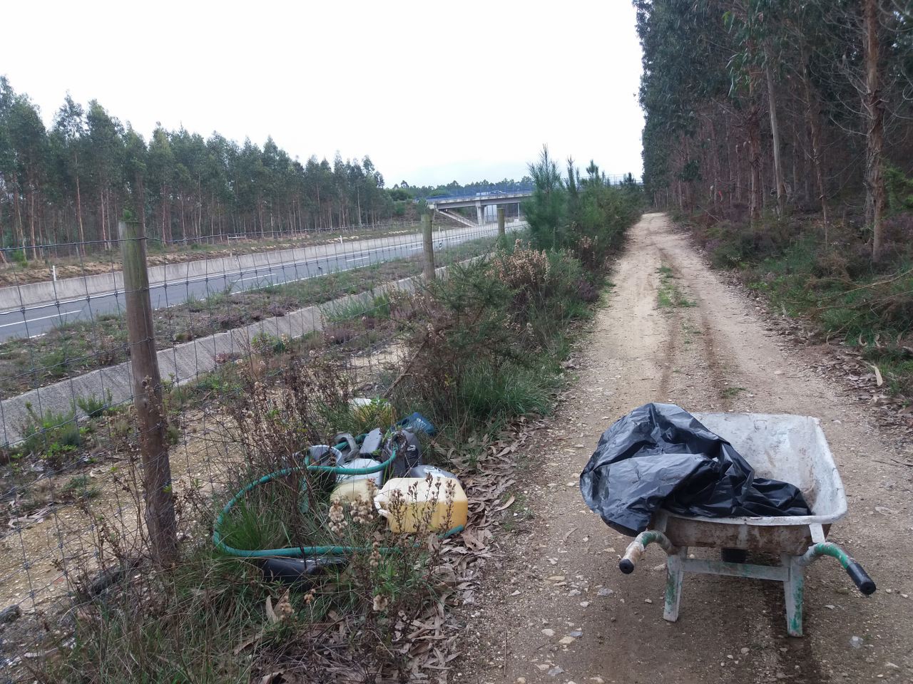 Limpar Portugal - 1 Novembro 202024