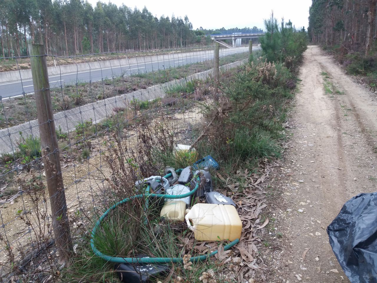 Limpar Portugal - 1 Novembro 202025