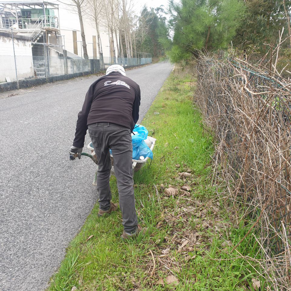 Limpar Portugal - 1 Novembro 202026