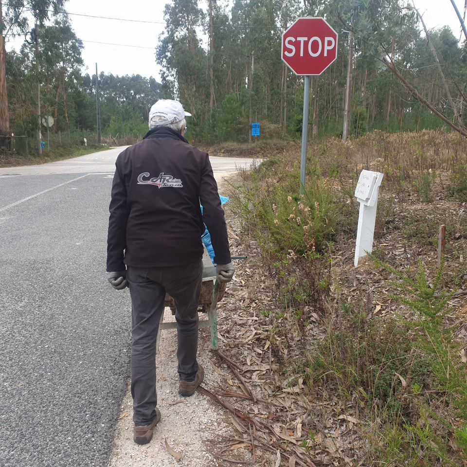 Limpar Portugal - 1 Novembro 202034