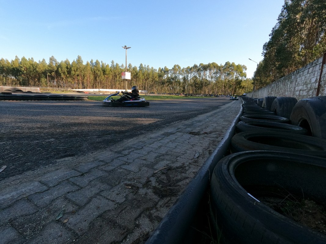 linksport - Junior / AKC / PSA /Endurance / Metalaf14