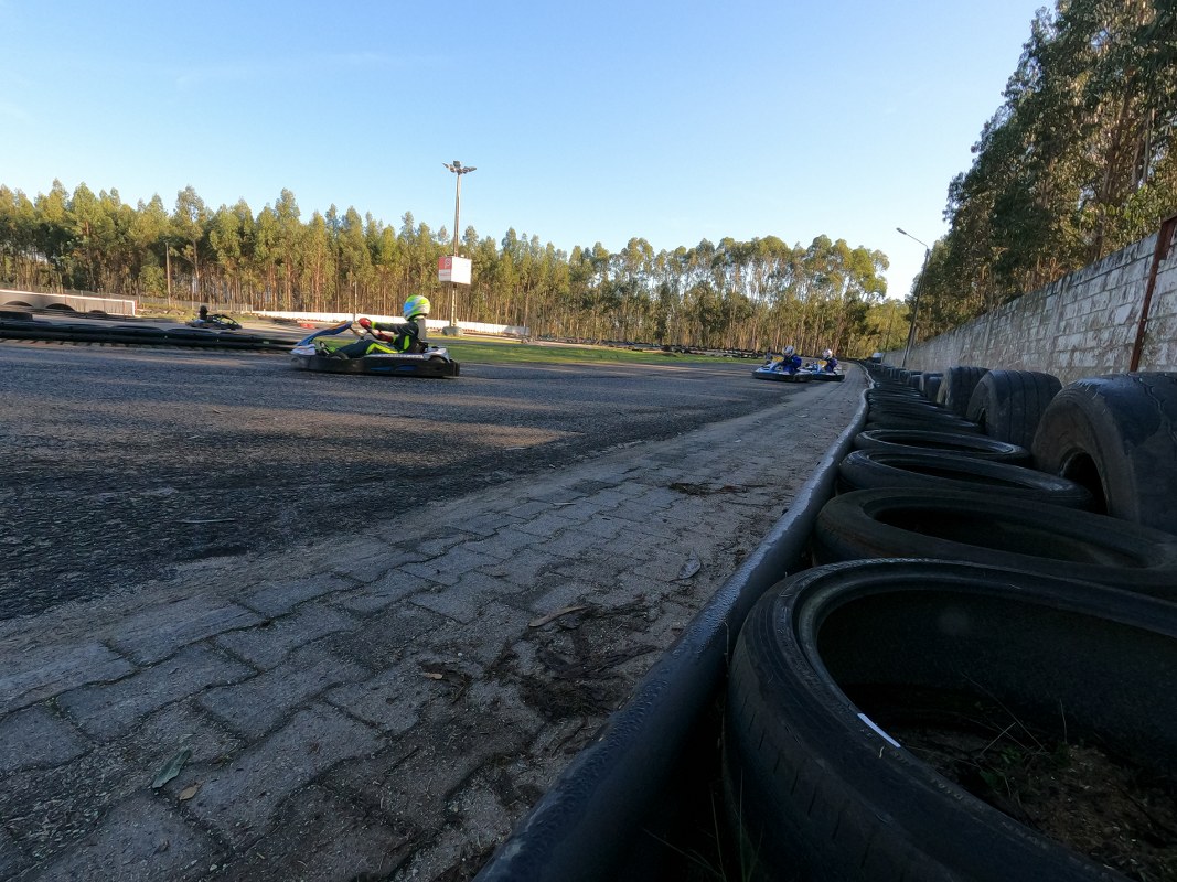 linksport - Junior / AKC / PSA /Endurance / Metalaf15