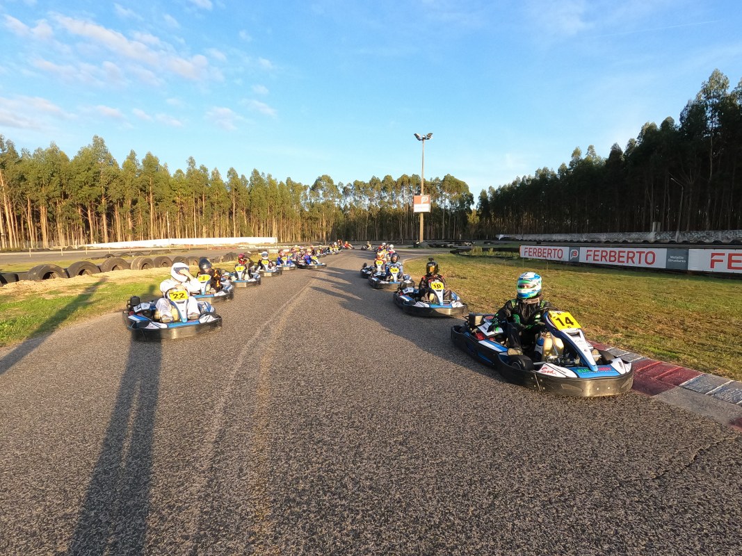 linksport - Junior / AKC / PSA /Endurance / Metalaf60