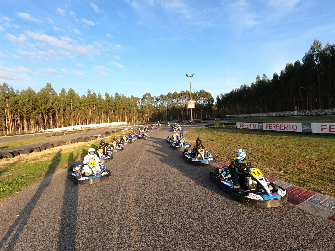 linksport - Junior / AKC / PSA /Endurance / Metalaf61