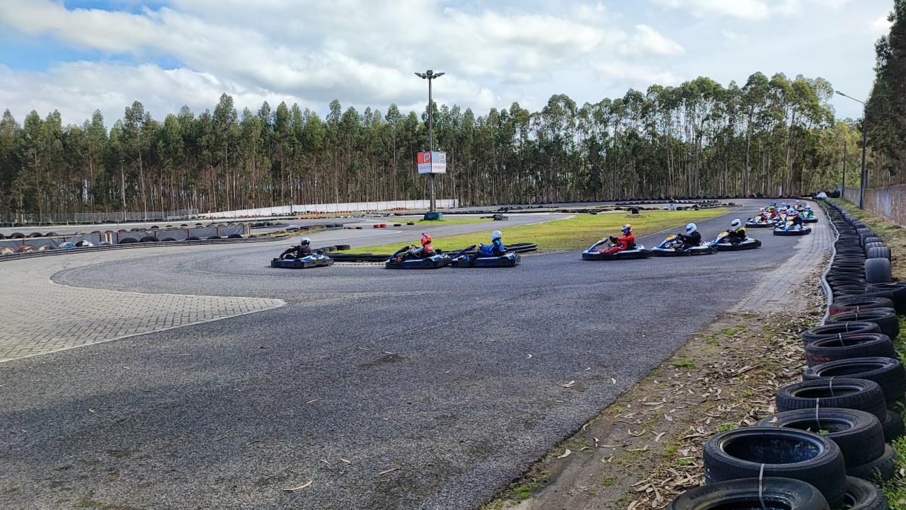 Linksport- PRO - GOLD - PREMIUM77