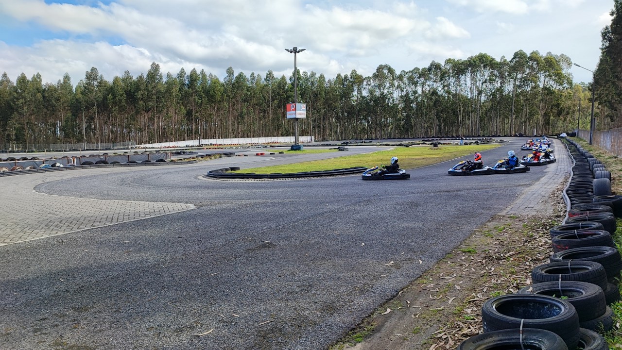 Linksport- PRO - GOLD - PREMIUM79