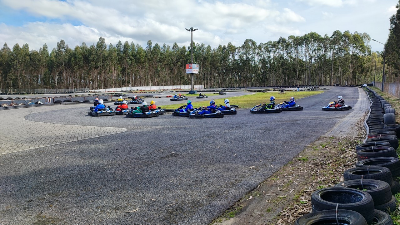 Linksport- PRO - GOLD - PREMIUM86